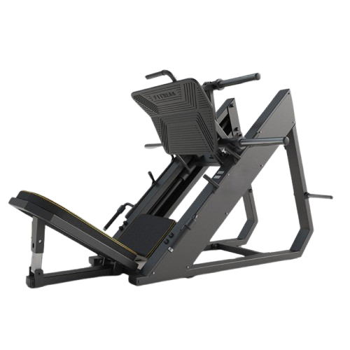 Leg Press 45